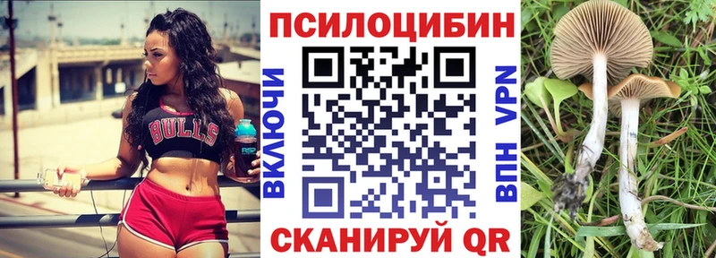 Псилоцибиновые грибы мухоморы  наркота  гидра маркетплейс  Берёзовский 